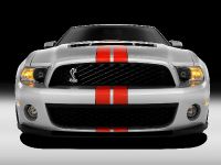 Ford Shelby GT500 (2011) - picture 6 of 8