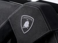 Lamborghini Gallardo LP 570-4 Spyder Performante (2011) - picture 10 of 12