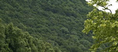 Mercedes-Benz S 63 AMG (2011) - picture 20 of 23