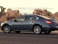 Nissan Maxima (2011) - picture 2 of 13