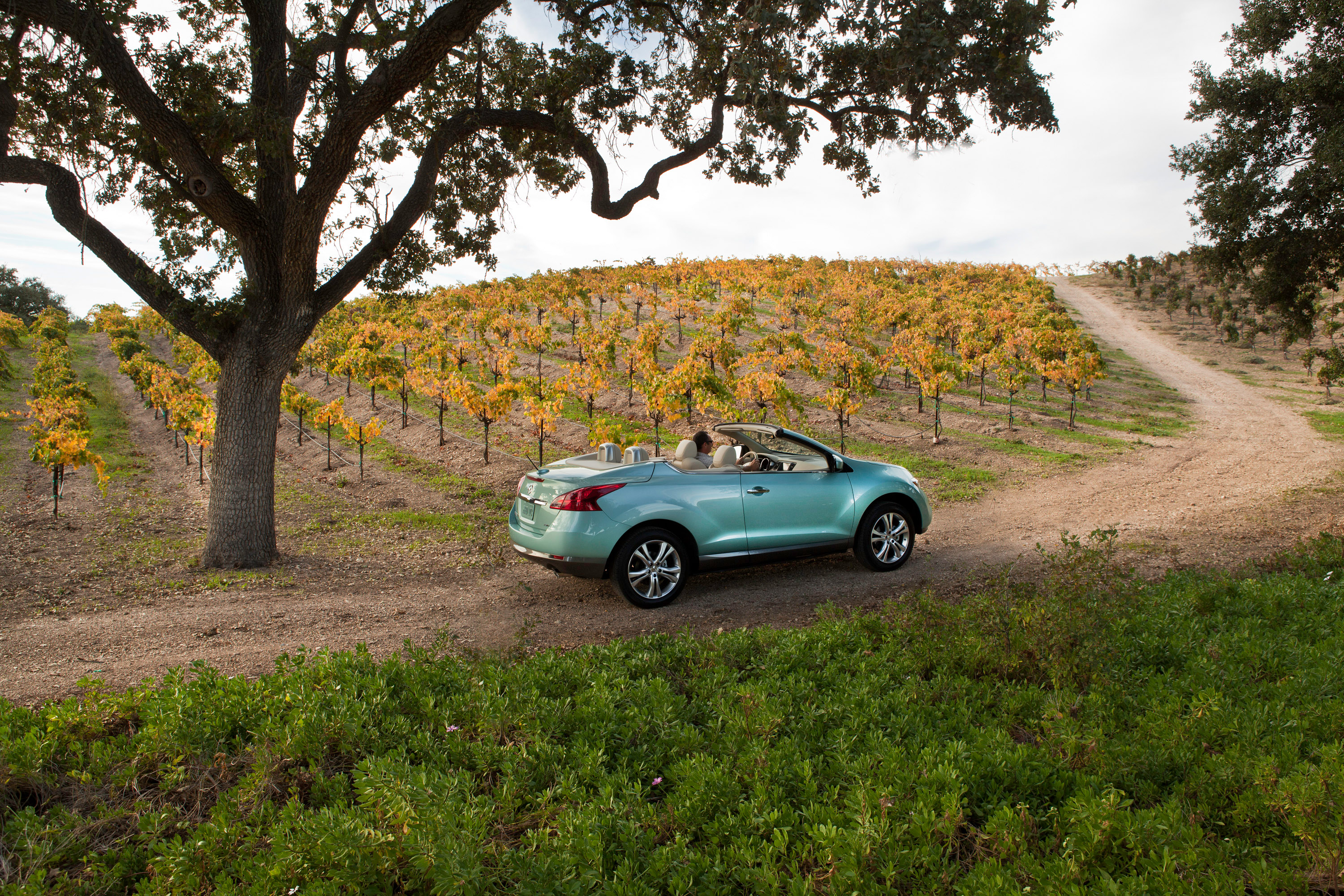 Nissan Murano CrossCabriolet