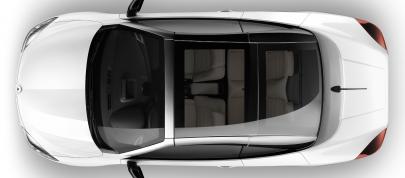 Renault Megane Coupe-Cabriolet (2011) - picture 4 of 15