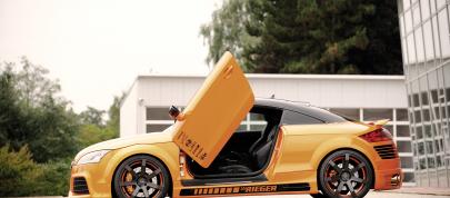 Rieger Audi TT 8J (2011) - picture 4 of 12