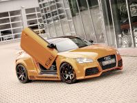 Rieger Audi TT 8J (2011) - picture 3 of 12