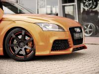 Rieger Audi TT 8J (2011)