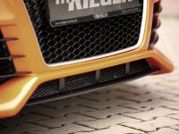 Rieger Audi TT 8J (2011) - picture 11 of 12