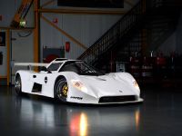 Saker RapX and Sniper (2011)