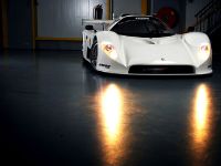 Saker RapX and Sniper (2011)