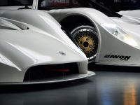 Saker RapX and Sniper (2011)