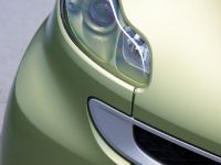 Smart ForTwo Lightshine Edition (2011) - picture 13 of 15