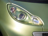 Smart ForTwo Lightshine Edition (2011) - picture 14 of 15