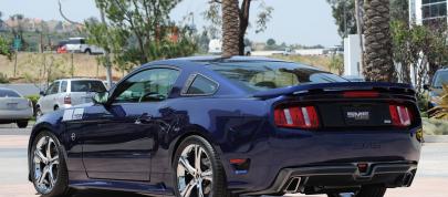 2011 SMS 302 Ford Mustang (2010) - picture 4 of 20
