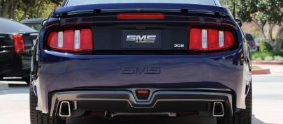 2011 SMS 302 Ford Mustang (2010) - picture 7 of 20