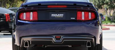 2011 SMS 302 Ford Mustang (2010) - picture 7 of 20