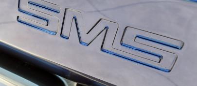 2011 SMS 302 Ford Mustang (2010) - picture 15 of 20