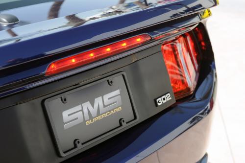 2011 SMS 302 Ford Mustang (2010) - picture 16 of 20