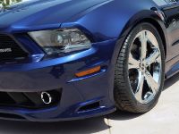 2011 SMS 302 Ford Mustang (2010) - picture 8 of 20