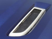 2011 SMS 302 Ford Mustang (2010)