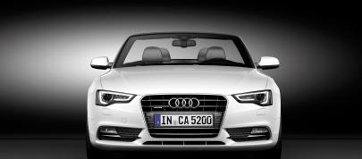 Audi A5 Cabriolet (2012) - picture 15 of 22