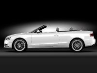 Audi A5 Cabriolet (2012) - picture 14 of 22