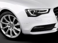 Audi A5 Coupe (2012) - picture 13 of 19
