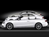Audi A5 Coupe (2012)