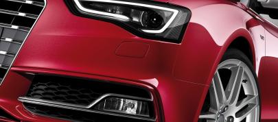 Audi S5 Cabriolet (2012) - picture 15 of 24