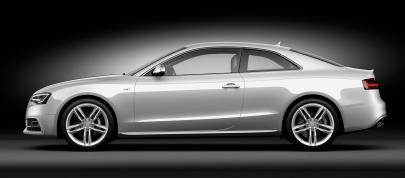 Audi S5 Coupe (2012) - picture 12 of 22