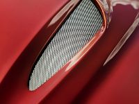 BMW Zagato Coupe (2012)