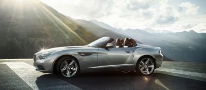 BMW Zagato Roadster (2012) - picture 7 of 23
