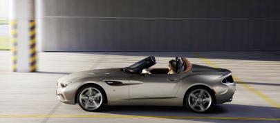 BMW Zagato Roadster (2012) - picture 12 of 23