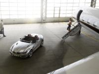 BMW Zagato Roadster (2012)