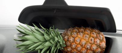 Dacia Lodgy (2012) - picture 15 of 22