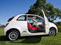 Fiat 500 Cabrio (2012) - picture 2 of 3