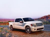 Ford F-150 Harley Davidson Edition (2012) - picture 3 of 7