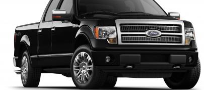 Ford F-150 (2012) - picture 12 of 22