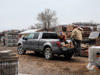 Ford F-150 (2012) - picture 14 of 22