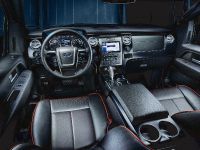 Ford F-150 (2012) - picture 19 of 22