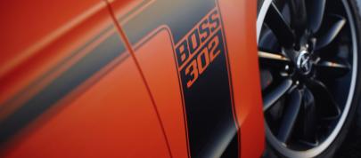 Ford Mustang Boss 302 (2012) - picture 20 of 22
