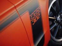 Ford Mustang Boss 302 (2012)