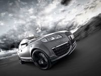 Fostla Audi Q7 SUV (2012) - picture 11 of 14