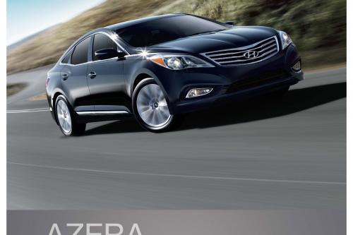 Hyundai Azera (2012) - picture 41 of 45