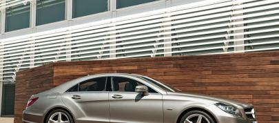 Mercedes-Benz CLS 350 BlueEFFICIENCY (2012) - picture 4 of 13