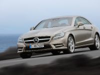 Mercedes-Benz CLS 350 BlueEFFICIENCY (2012) - picture 6 of 13