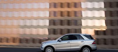 Mercedes-Benz M-Class (2012) - picture 4 of 46