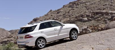 Mercedes-Benz M-Class (2012) - picture 20 of 46