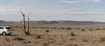 Mercedes-Benz M-Class (2012) - picture 23 of 46