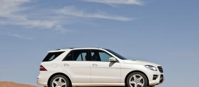 Mercedes-Benz M-Class (2012) - picture 28 of 46