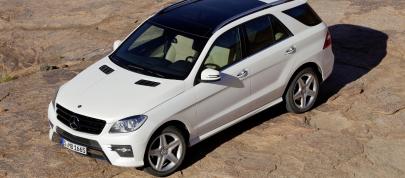 Mercedes-Benz M-Class (2012) - picture 36 of 46