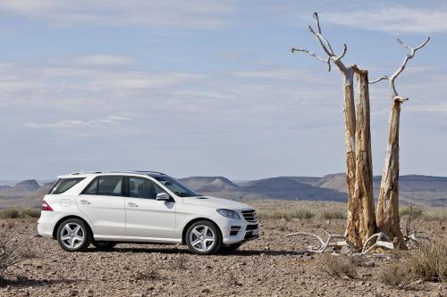 Mercedes-Benz M-Class (2012) - picture 24 of 46